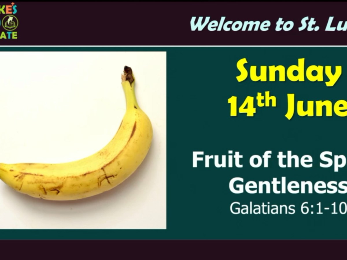 Fruit of the Spirit: Gentleness (Galatians&nbsp;6:1-10)